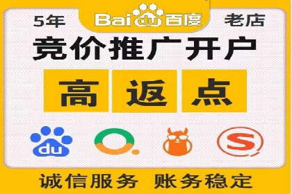 推广竞价策略解析：成功案例分享